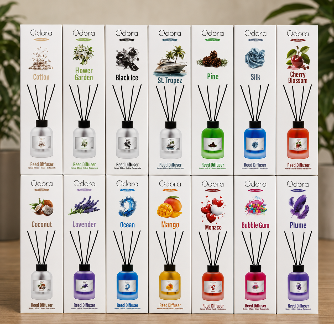 Reed Diffuser - Odora
